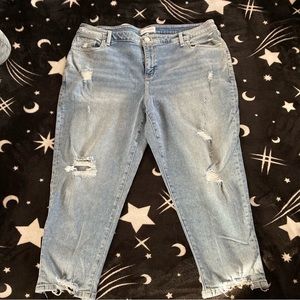 Lane Bryant Jeans